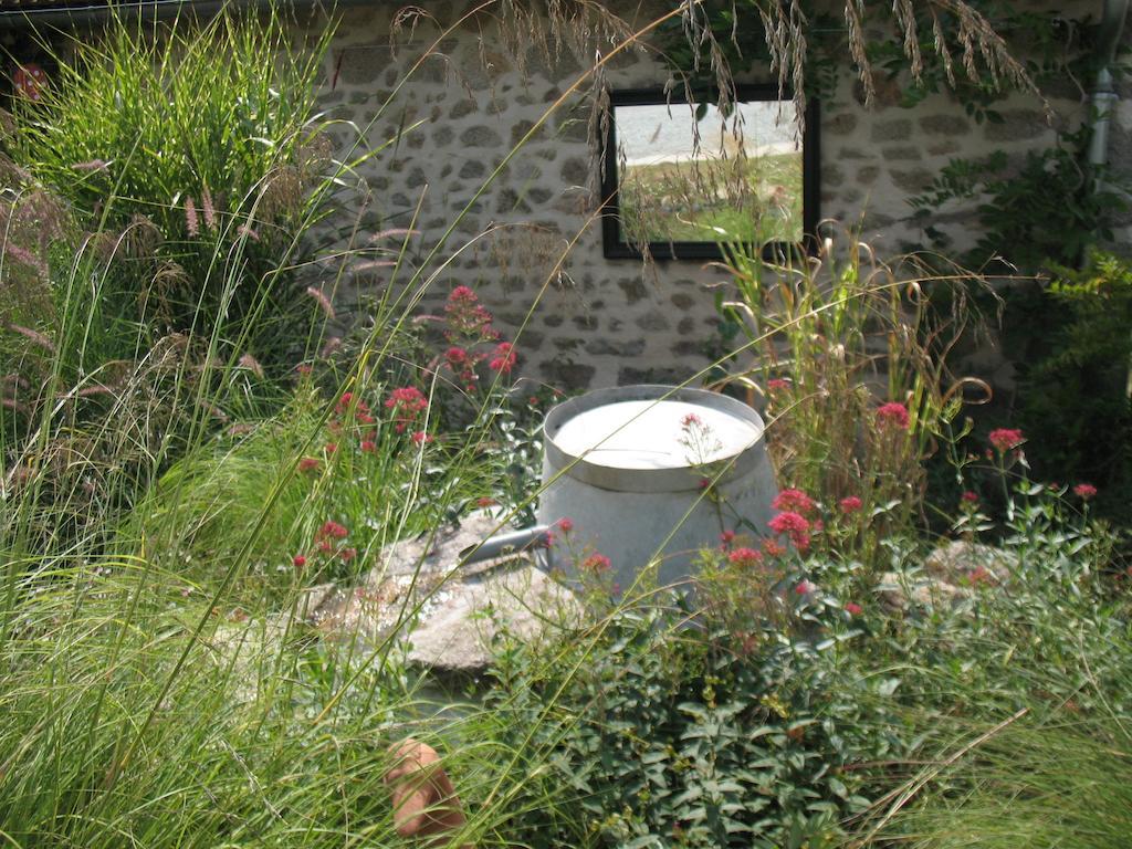 Domaine De La Jarrige Hotel Saint-Vaury Buitenkant foto