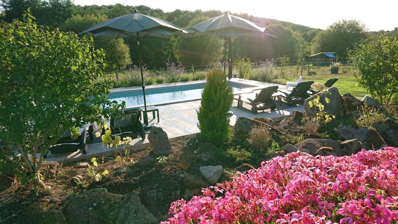 Domaine De La Jarrige Hotel Saint-Vaury Buitenkant foto